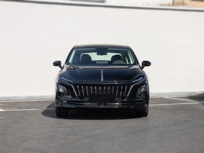 HongQi E-QM5  Фото №2